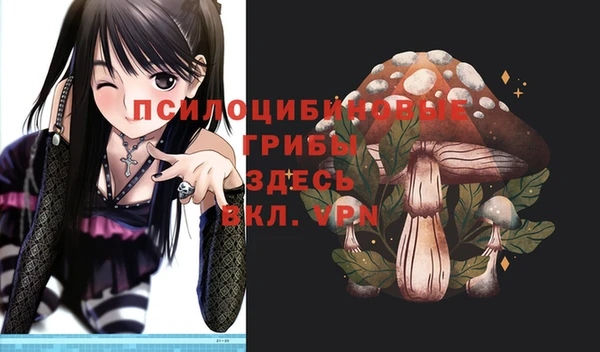 амф Белоозёрский