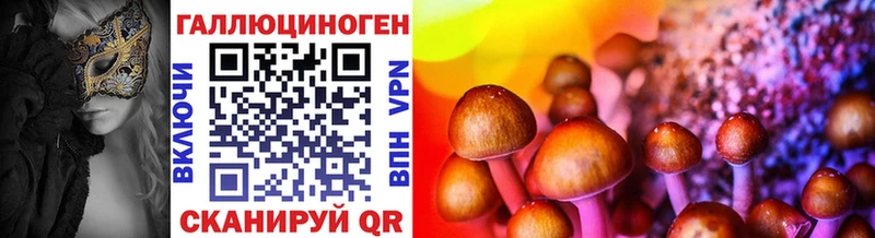 Галлюциногенные грибы Cubensis Кимовск